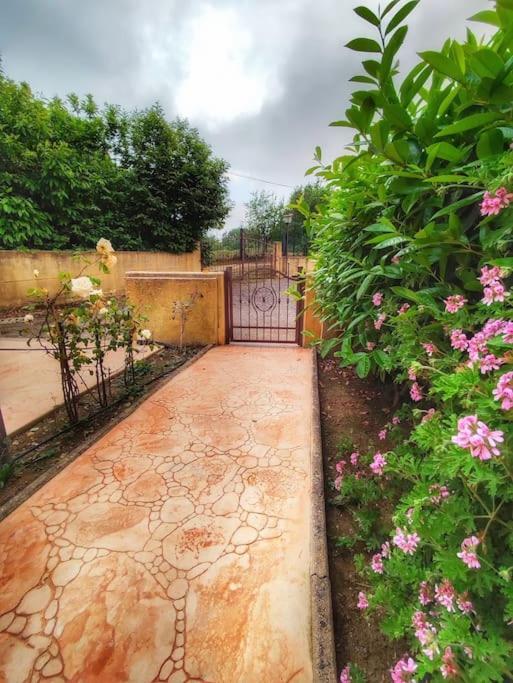 Villetta Di Anastasia 1 Tropea Filandari Exterior foto